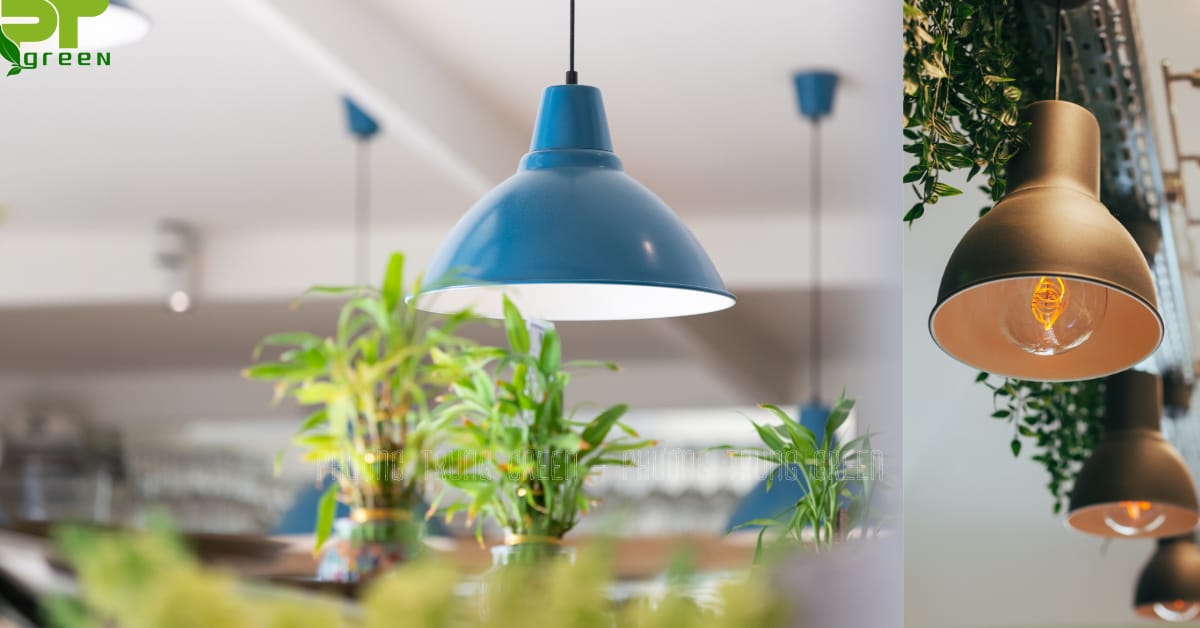 Treo bóng đèn tạo ánh sáng cho các cây treo tường