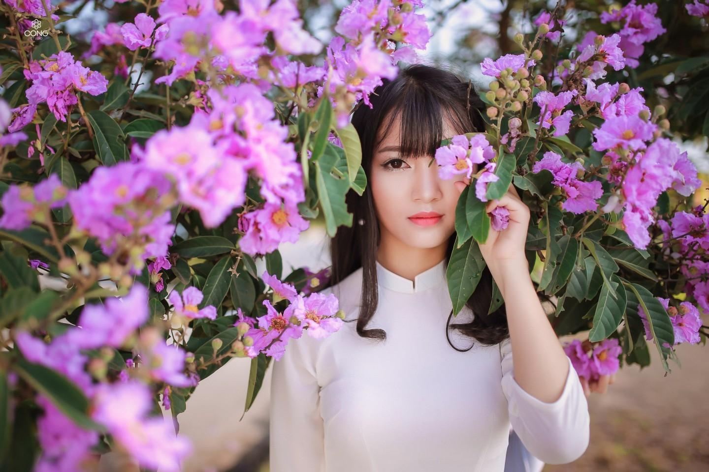 Hoa bằng lăng tím