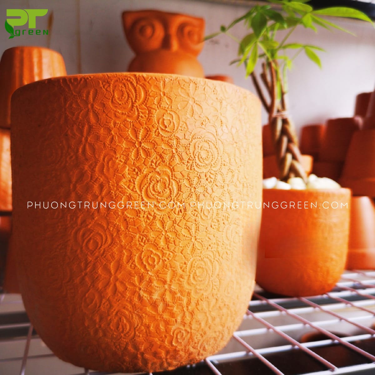 Chậu đất nung 17x17cm