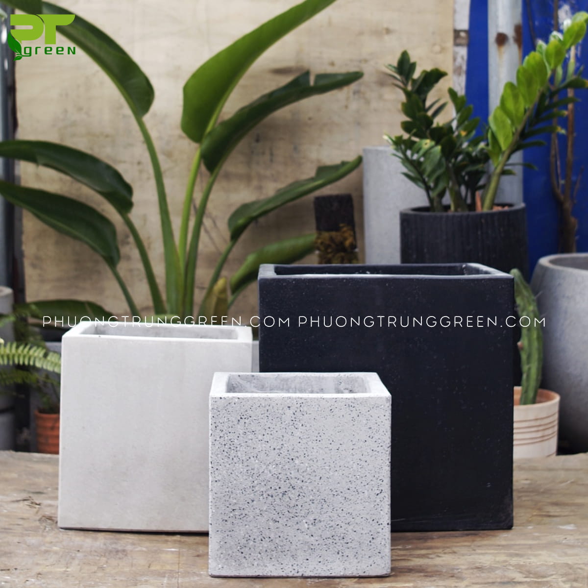 Chậu xi măng vuông 12x12cm