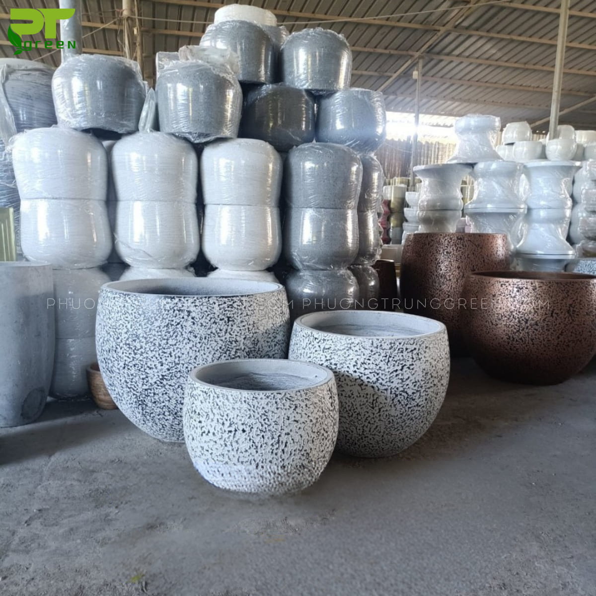 Chậu xi măng
