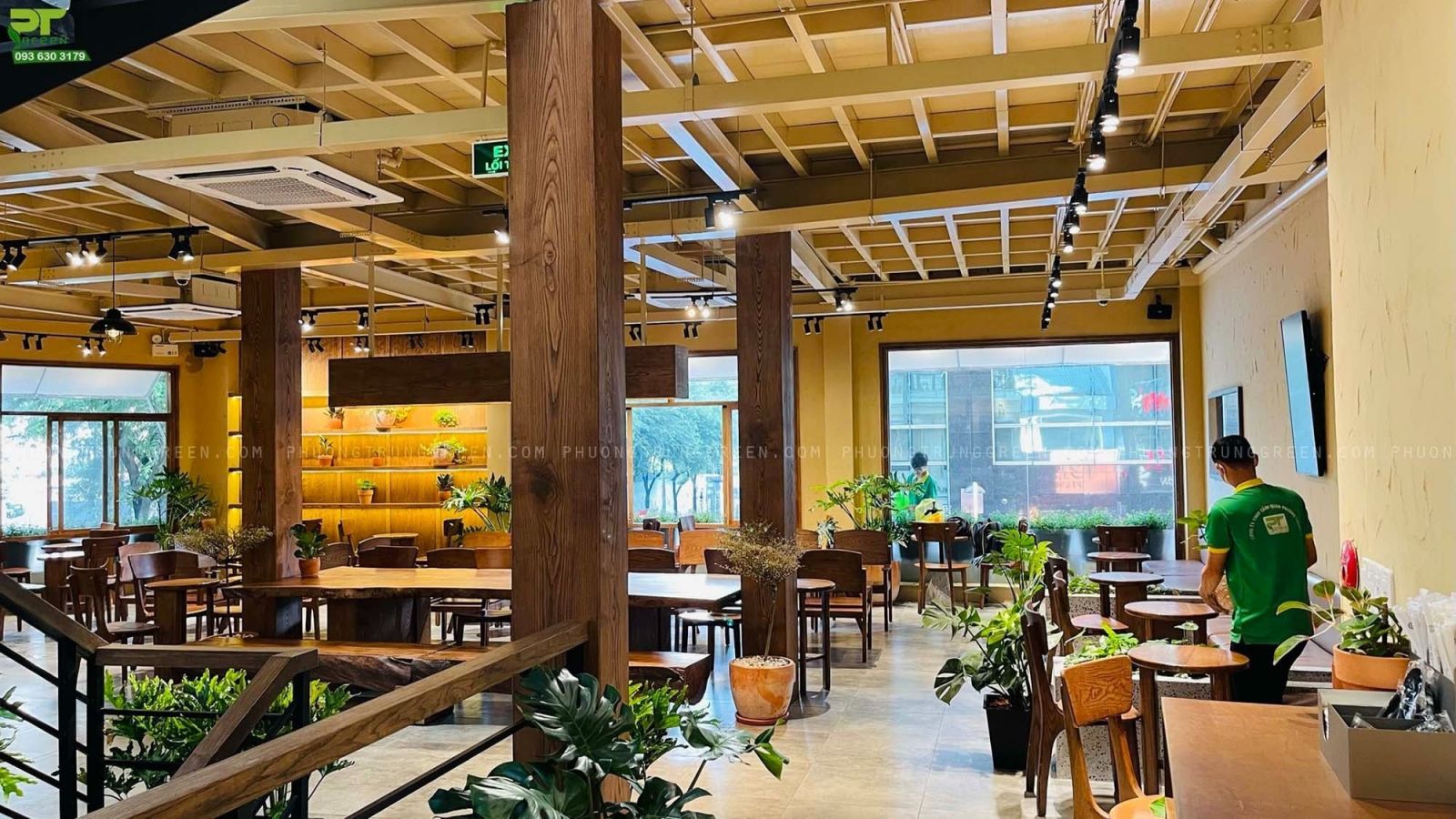 Ưu điểm khi thuê cây