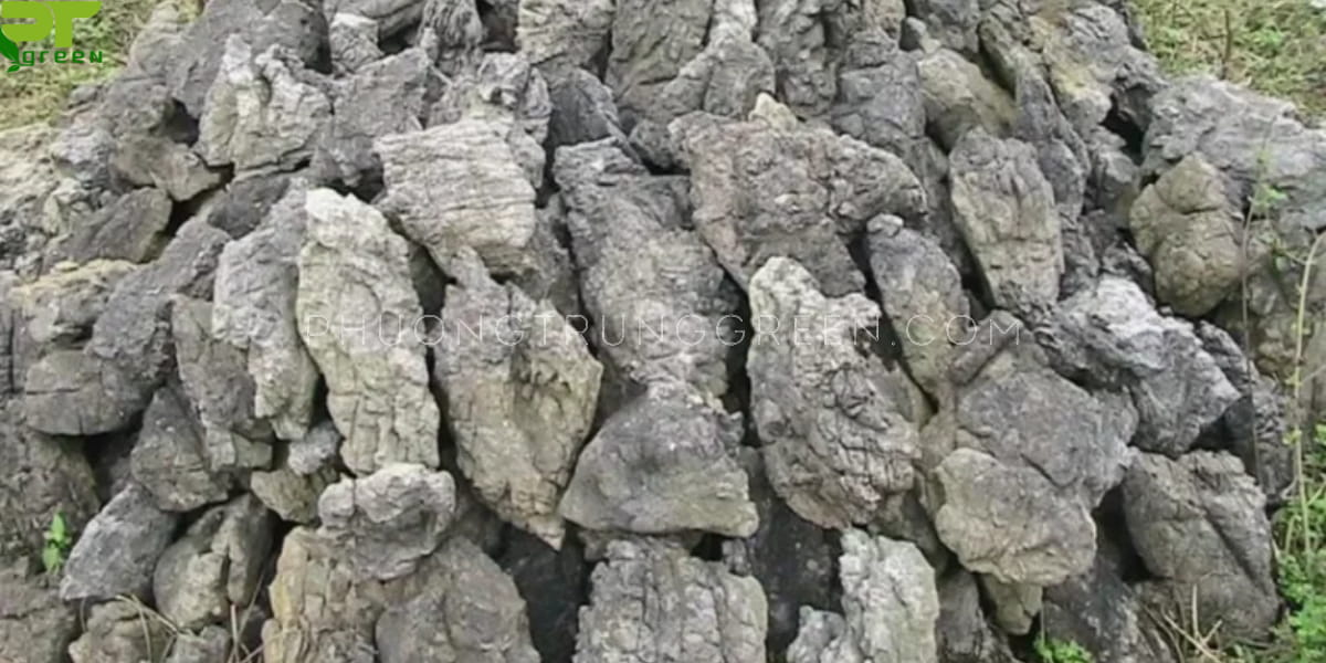 Đá tai mèo