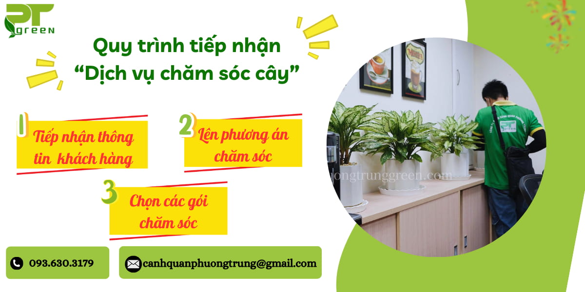 Quy trình tiếp nhận dịch vụ chăm sóc cây cảnh