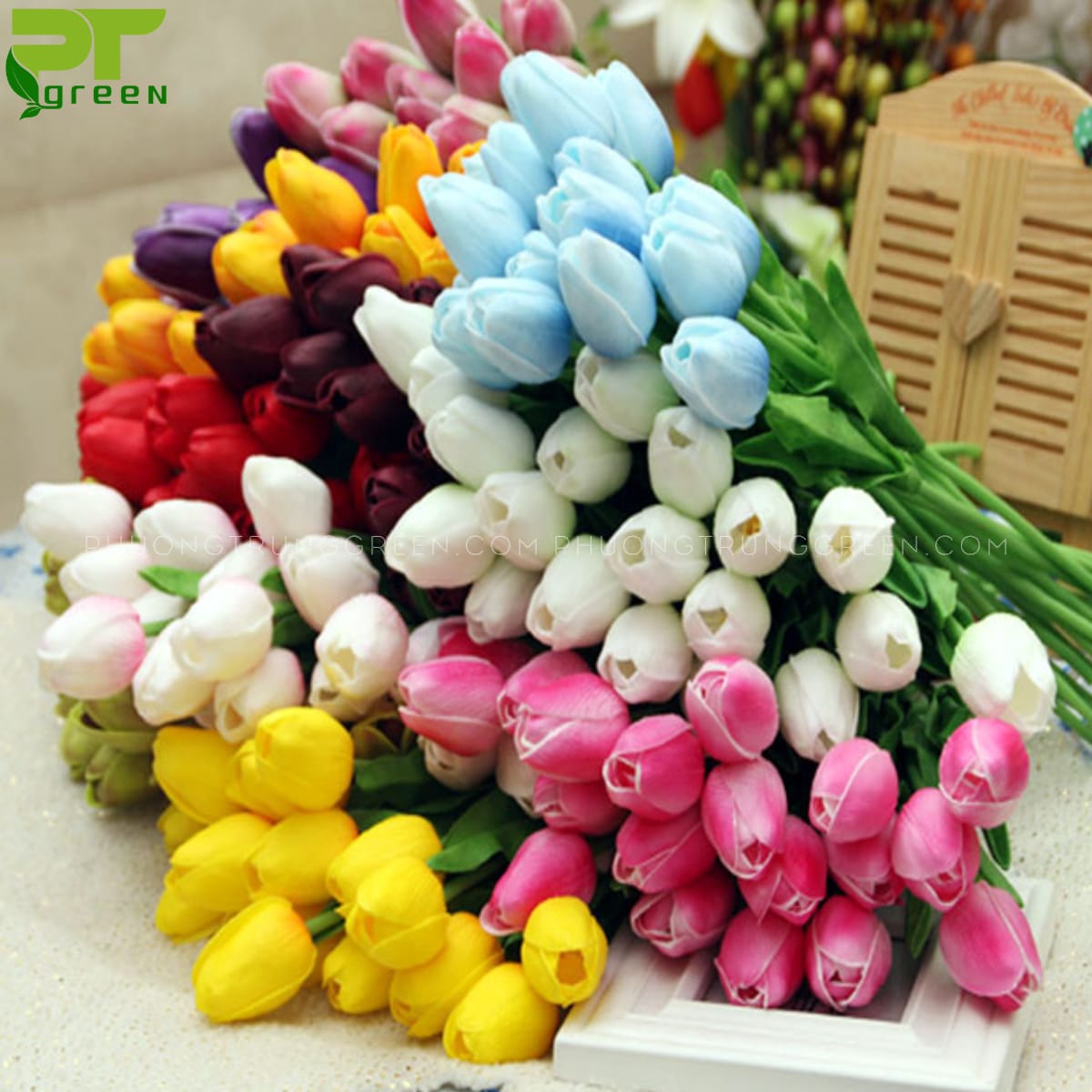 Ý nghĩa của các màu hoa Tulip