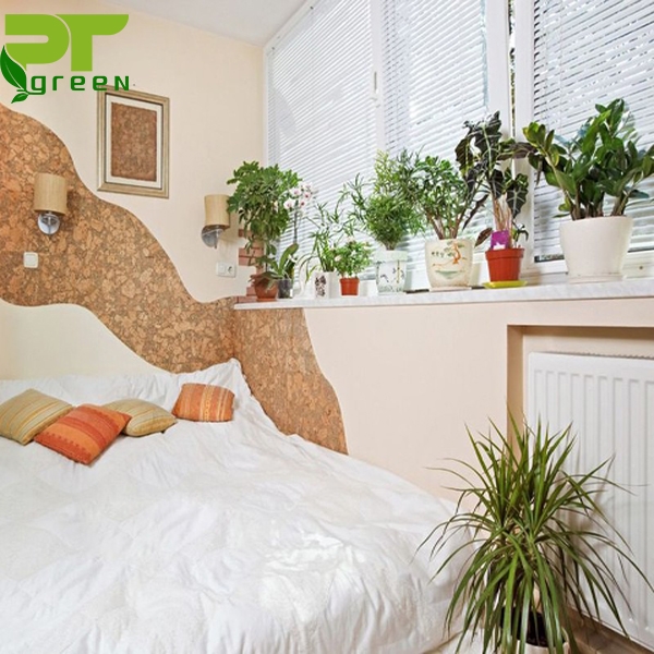 Những lưu ý khi đặt cây trong phòng ngủ