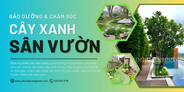 Dịch vụ Chăm sóc cây xanh Sân Vườn