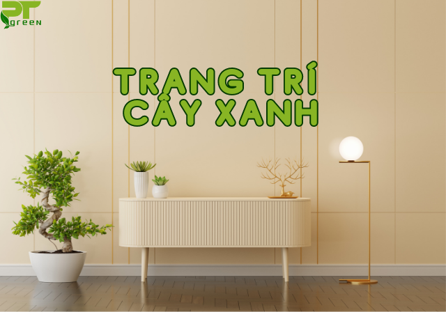 Dịch vụ trang trí cây xanh