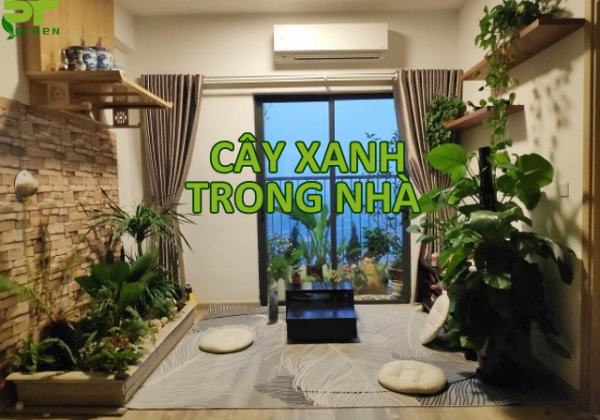 Top 7 cây xanh trong nhà và cách trang trí độc đáo