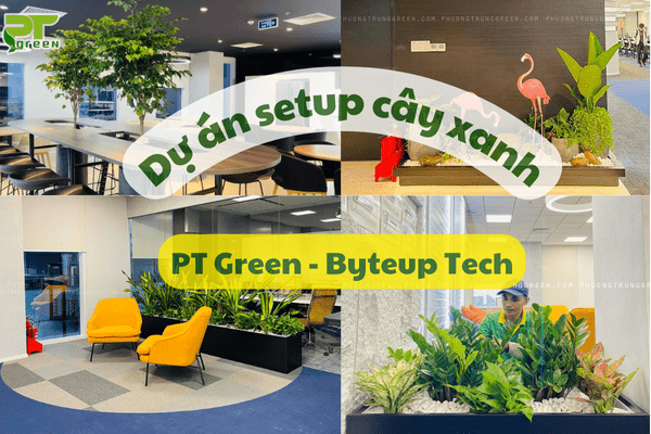 PT Green Thiết Lập Không Gian Xanh Cho Byteup Technology