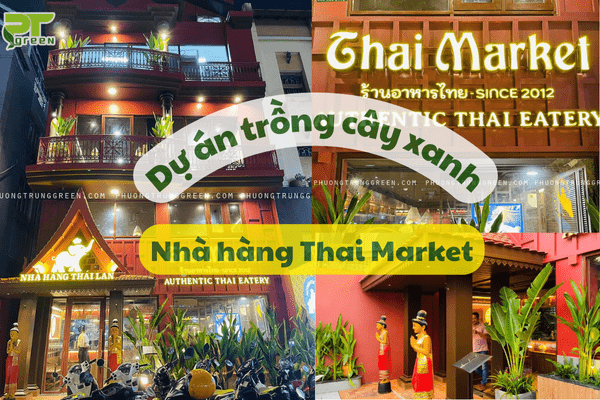 Dự án trang trí cây xanh cho nhà hàng Thái Market