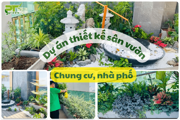Thiết kế sân vườn hiện đại cho nhà phố, Penthouse