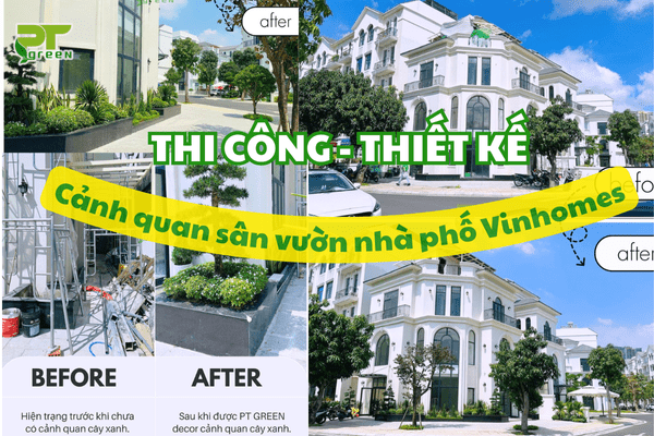 Dự Án Thi Công - Thiết Kế Cảnh Quan Sân Vườn Cho Nhà Phố Vinhomes