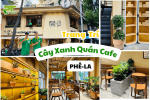 Dự Án Trang Trí Cây Xanh Cho Quán Cafe Phê La