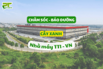 PT GREEN CHO THUÊ & CHĂM SÓC BẢO DƯỠNG CÂY XANH CHO TTI FACTORY