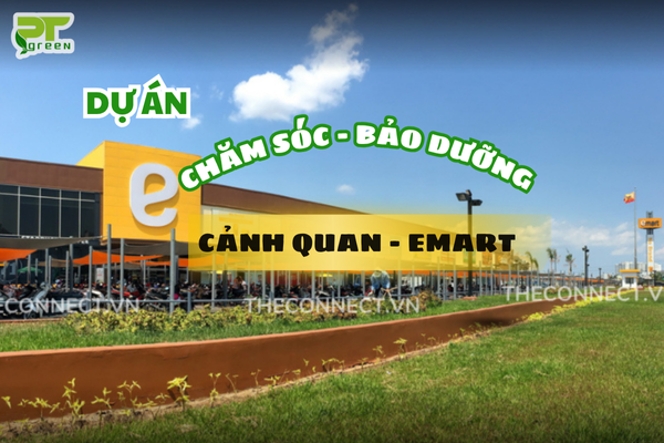 PT GREEN CHĂM SÓC CẢNH QUAN TẠI SIÊU THỊ EMART