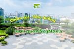 PT GREEN CHĂM SÓC BẢO DƯỠNG CẢNH QUAN SKYMAVIS