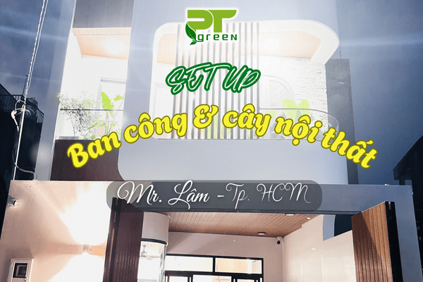 THI CÔNG CÂY XANH BAN CÔNG VÀ CÂY NỘI THẤT NHÀ MR. LÂM