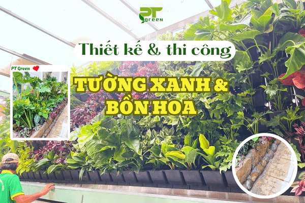 THIẾT KẾ VÀ THI CÔNG TƯỜNG XANH & BỒN HOA CHO NHÀ MS. LAN