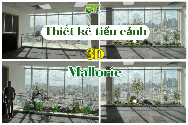 THIẾT KẾ PHỐI CẢNH CÂY NỘI THẤT 3D VĂN PHÒNG MALLORIE